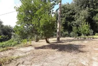 Rexer-Canolo-Casa-In-Montagna-ALTRO